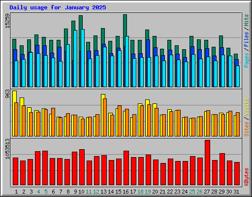 Daily usage for January 2025