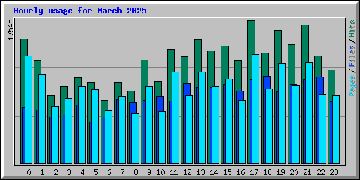 Hourly usage for March 2025