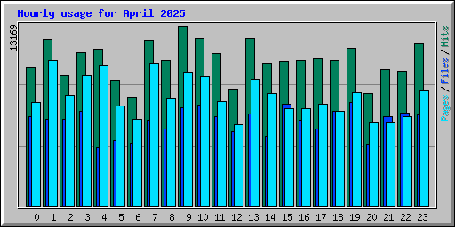 Hourly usage for April 2025