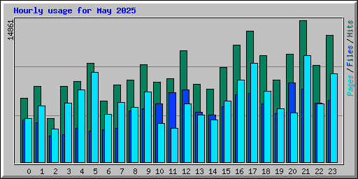 Hourly usage for May 2025