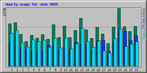 Hourly usage for June 2025