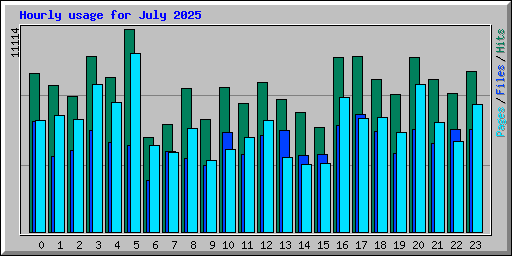 Hourly usage for July 2025