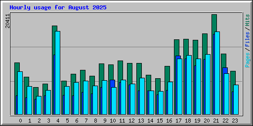 Hourly usage for August 2025