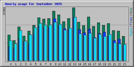 Hourly usage for September 2025