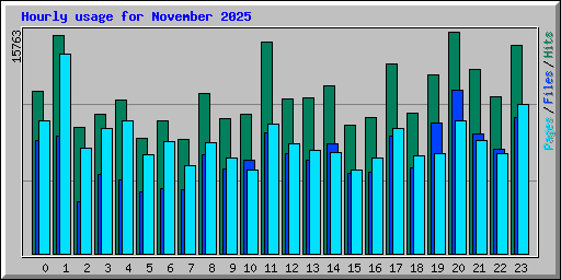 Hourly usage for November 2025
