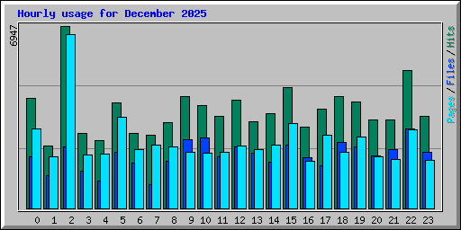 Hourly usage for December 2025