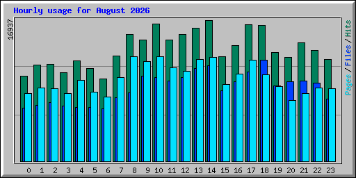 Hourly usage for August 2026
